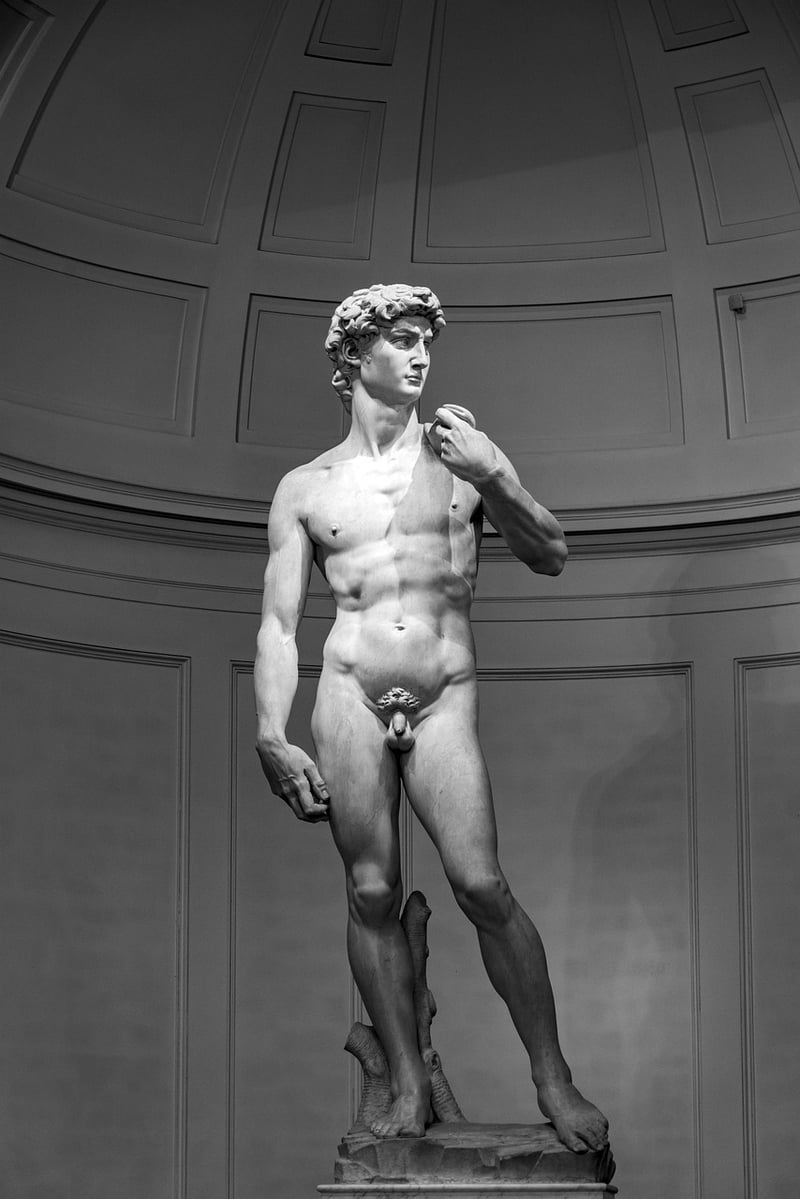 Michelangelo's David